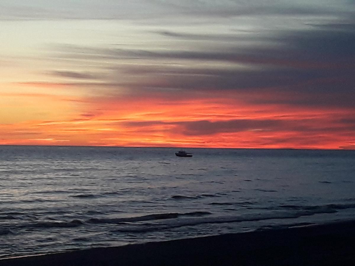 Su Terasa Jaukus Apartamentas, Tik Vienas Palanga Exteriér fotografie